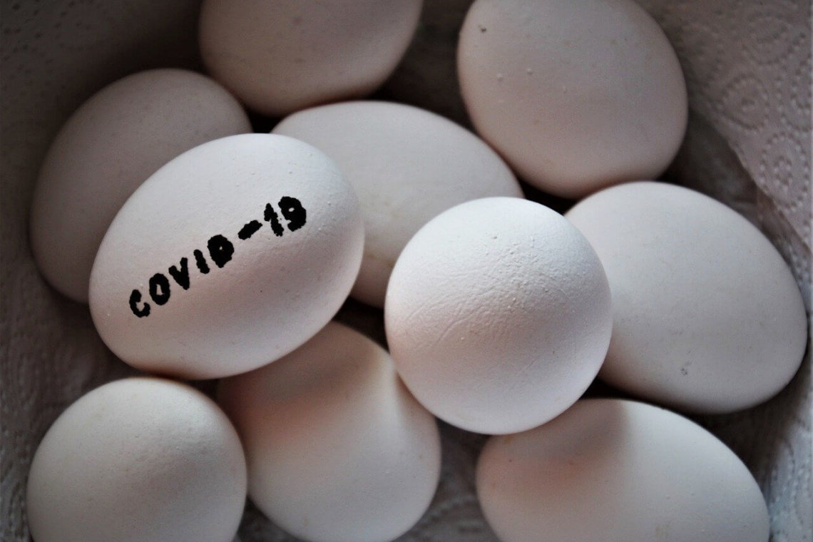 Covid Eggs